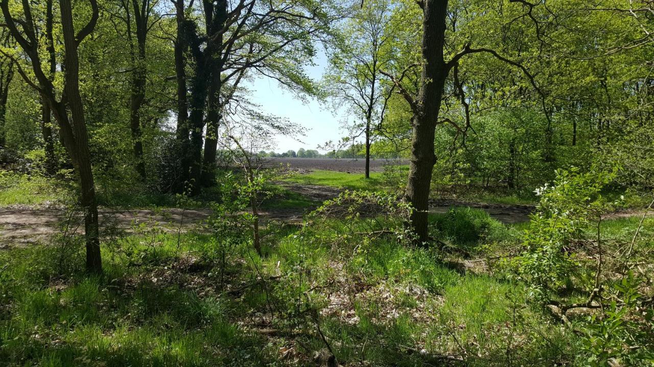 Chalet Drenthe Villa Schoonloo ภายนอก รูปภาพ