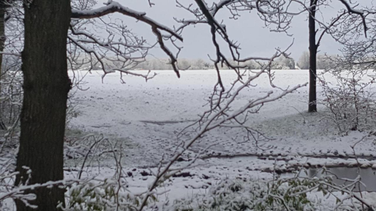 Chalet Drenthe Villa Schoonloo ภายนอก รูปภาพ