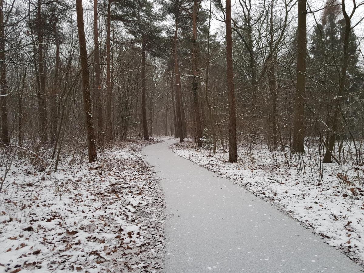 Chalet Drenthe Villa Schoonloo ภายนอก รูปภาพ